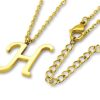 Amanto Ketting H Gold - Unisex - 316L Staal Goud PVD - Letter - 17 x 16 - 50 cm-0